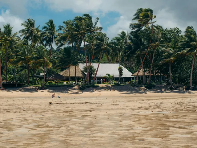 Sandy beach with palm trees near a coastal Fijian village