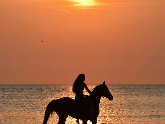 Person riding a horse along a tropical beach at golden hour