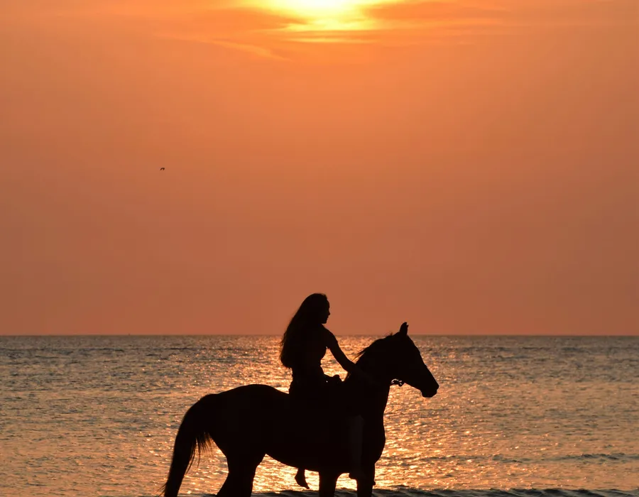 Person riding a horse along a tropical beach at golden hour