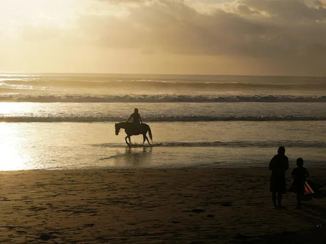 Rider and horse walking along the shoreline of a tropical beach